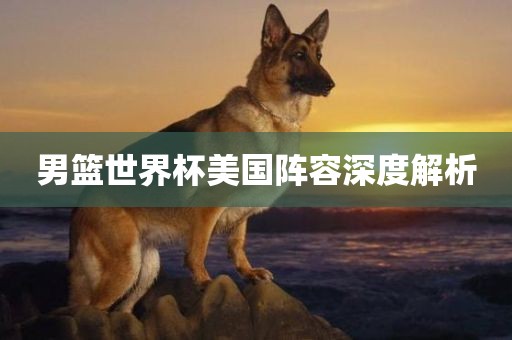 男篮世界杯美国阵容深度解析