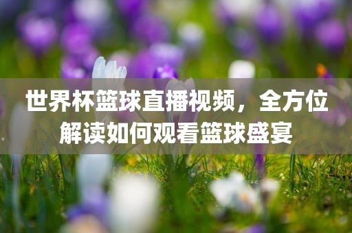 世界杯篮球直播视频，全方位解读如何观看篮球盛宴常熟市高丰毛纺织品有限公司