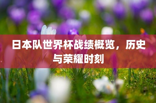 日本队世界杯战绩概览，历史与荣耀时刻常熟市高丰毛纺织品有限公司