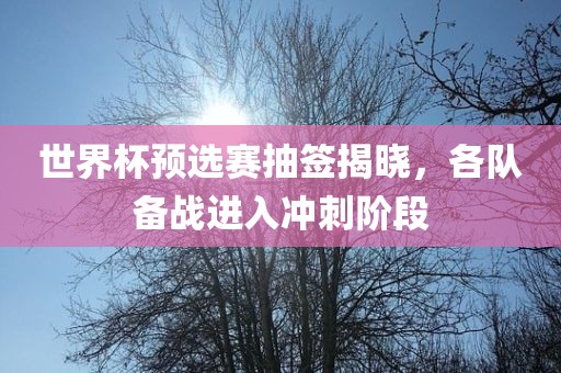世界杯预选赛抽签揭晓，各队备战进入冲刺阶段常熟市高丰毛纺织品有限公司