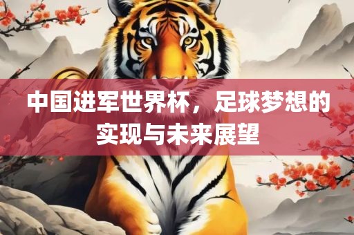 中国进军世界杯，足球梦想的实现与未来展望