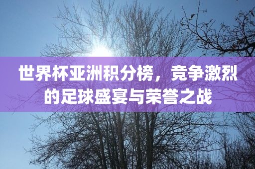 世界杯亚洲积分榜，竞争激烈的足球盛宴与荣誉之战常熟市高丰毛纺织品有限公司