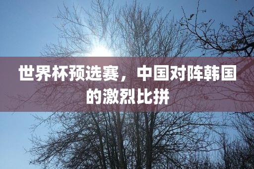 世界杯预选赛，中国对阵韩国的激烈比拼常熟市高丰毛纺织品有限公司