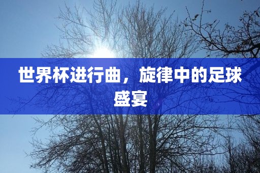 世界杯进行曲，旋律中的足球盛宴常熟市高丰毛纺织品有限公司