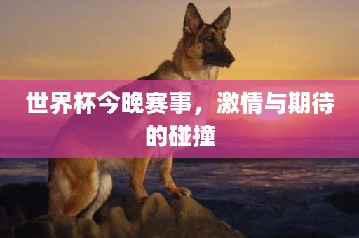 世界杯今晚赛事，激情与期待的碰撞常熟市高丰毛纺织品有限公司