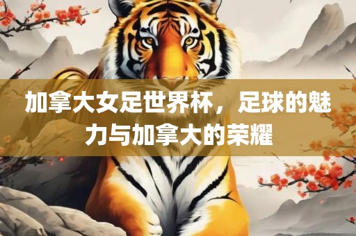 加拿大女足世界杯，足球的魅力与加拿大的荣耀