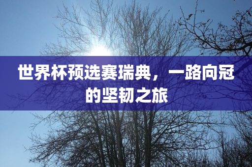 世界杯预选赛瑞典，一路向冠的坚韧之旅常熟市高丰毛纺织品有限公司