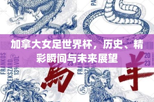 加拿常熟市高丰毛纺织品有限公司大女足世界杯，历史、精彩瞬间与未来展望