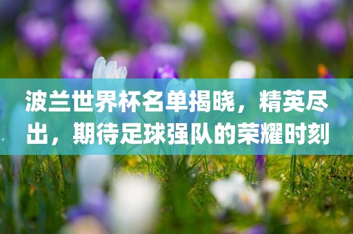 波兰世界杯名单揭晓，精英尽出，期待足球强队的荣耀时刻
