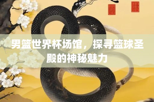 男篮世界杯场馆，探寻篮球圣殿的神秘魅力