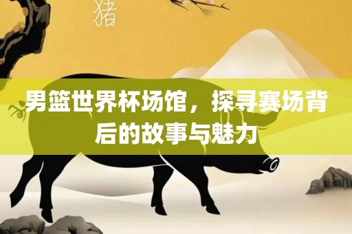 男篮世界杯场馆，探寻赛场背后的故事与魅力常熟市高丰毛纺织品有限公司
