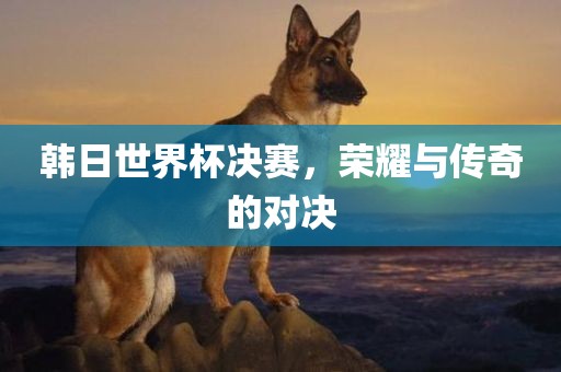 韩日世界杯决赛，荣耀与传常熟市高丰毛纺织品有限公司奇的对决