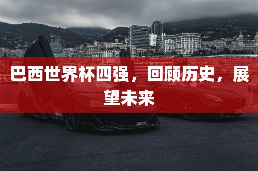 巴西世界杯四强，回顾历史，展望未来常熟市高丰毛纺织品有限公司