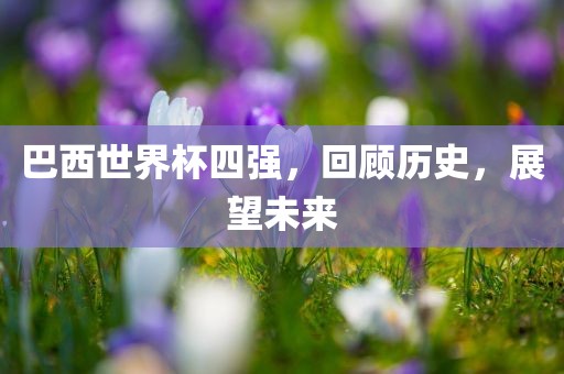 巴西世界杯四强，回顾历史，展望未来常熟市高丰毛纺织品有限公司