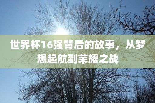 世界杯16强背后的故事，从梦想起航到常熟市高丰毛纺织品有限公司荣耀之战