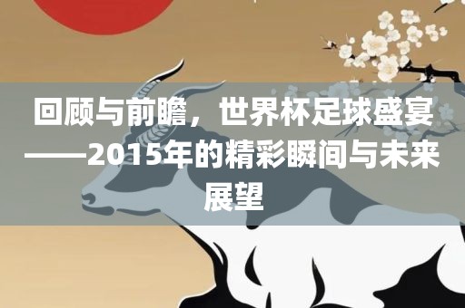 回顾与前瞻，世界杯足球盛宴——2015年的精彩瞬间与未来展望