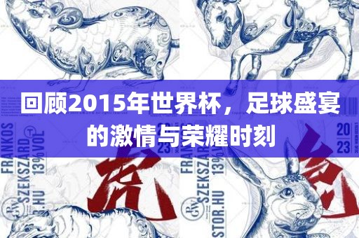 回顾20常熟市高丰毛纺织品有限公司15年世界杯，足球盛宴的激情与荣耀时刻