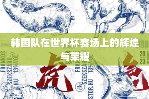 韩国队在世界杯赛场上的辉煌与荣耀