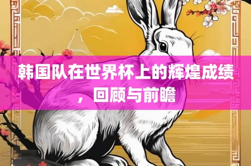 韩国队在世界杯上的辉煌成绩，回顾与前瞻