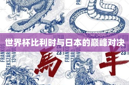 世界杯比利时与日本的巅峰对决常熟市高丰毛纺织品有限公司