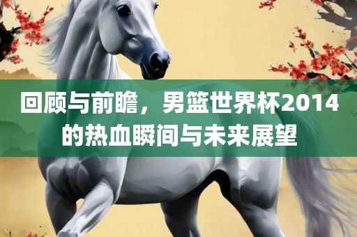 回顾与前瞻，男篮世界杯2014的热血瞬间与未来展望