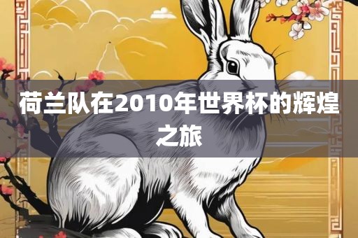 荷兰队在2010年世界杯的辉煌之旅