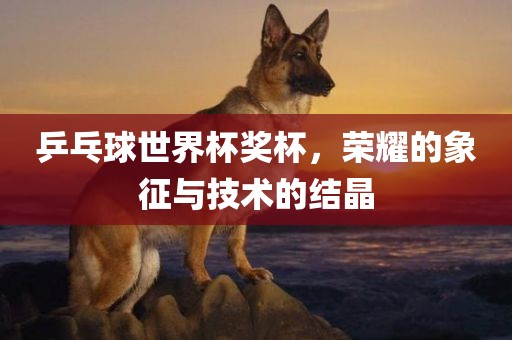 乒乓球世界杯奖杯，荣耀的象征与技术的结晶常熟市高丰毛纺织品有限公司