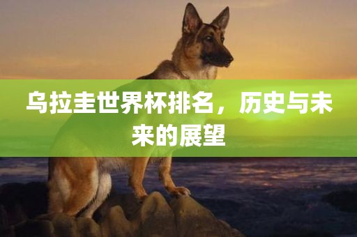 huangyanmin 第5页