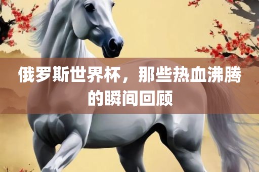 热血沸腾的瞬间回顾