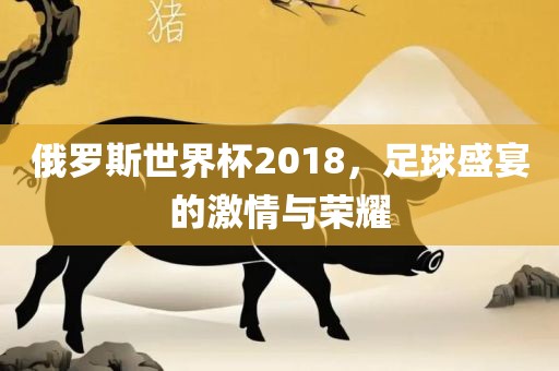 俄罗斯世界杯2018，足球盛宴的激情与荣耀常熟市高丰毛纺织品有限公司