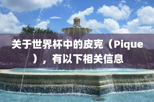 关于世界杯中的皮克（Pique），有以下相关信息常熟市高丰毛纺织品有限公司