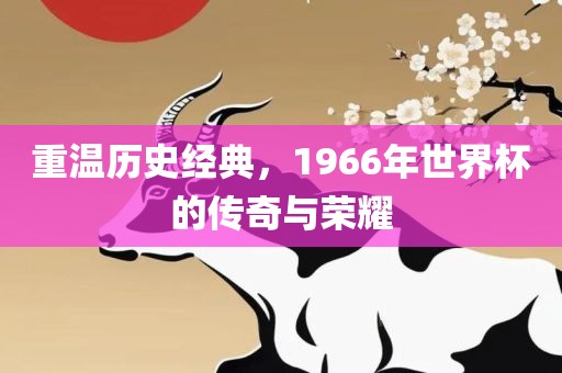 重温历史经典，1966年世界杯的传奇与荣耀