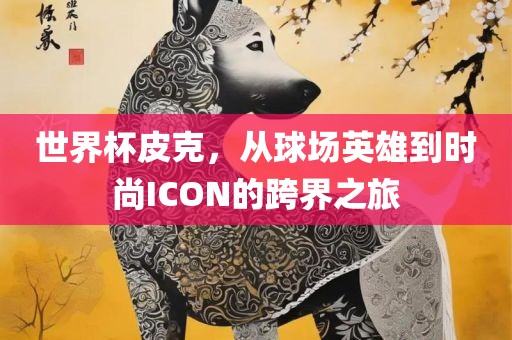 世界杯皮克，从球场英雄到时尚ICON常熟市高丰毛纺织品有限公司的跨界之旅