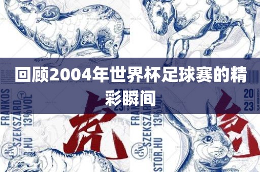 回顾2004年世界杯足球赛的精彩瞬间