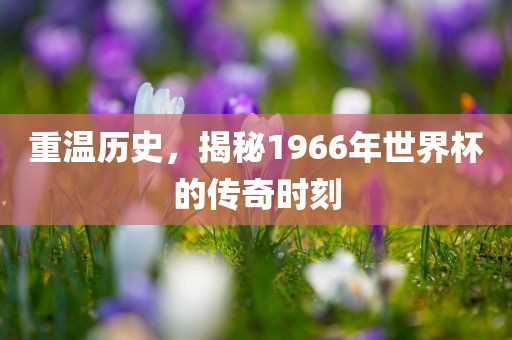 重温历史，揭秘1966年世界杯的传奇时刻常熟市高丰毛纺织品有限公司