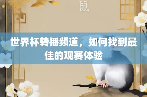 世界杯转播频道，如何找到最佳的观赛体验