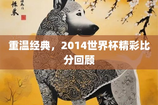 重温经典，2014世界杯精彩比分回顾