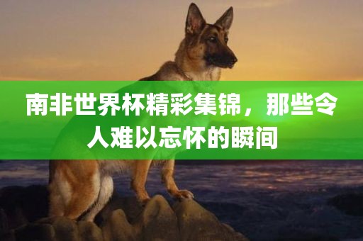 南常熟市高丰毛纺织品有限公司非世界杯精彩集锦，那些令人难以忘怀的瞬间