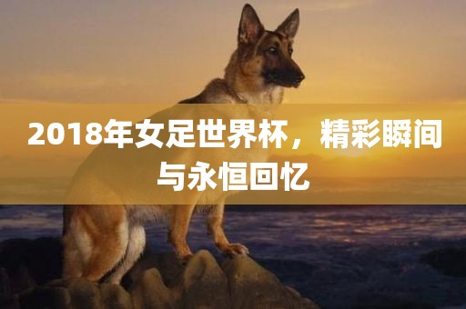 2018年女足世界杯，精彩瞬间与永恒回忆常熟市高丰毛纺织品有限公司