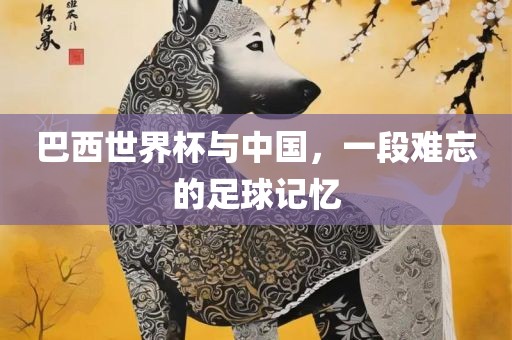 巴西世界杯与中国，一段难忘的足球记忆常熟市高丰毛纺织品有限公司