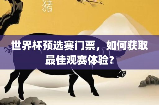 世界杯预选赛门票，如何获取最佳观赛体验？