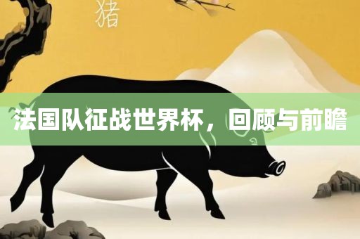 法国队征战世界杯，回顾与前瞻