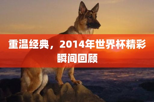 重温经典，2014年世界杯精彩瞬间回顾常熟市高丰毛纺织品有限公司