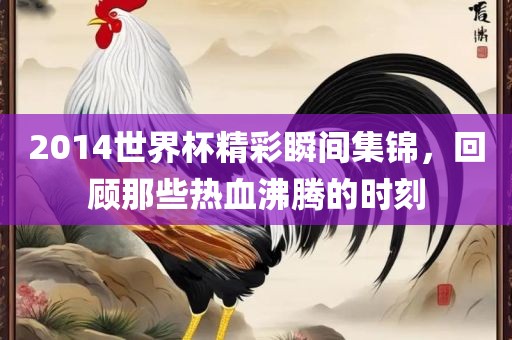 2014世界杯精彩瞬间集锦，回顾那些热血沸腾的时刻
