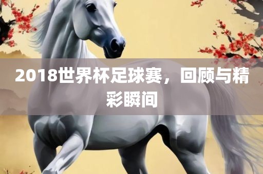 2018世界杯足球赛，回顾与精彩瞬间