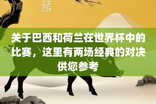 关于巴西和荷兰在世界杯中的比赛，这里有两场经典的对决供您参考常熟市高丰毛纺织品有限公司