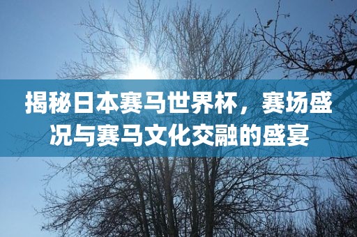 揭秘常熟市高丰毛纺织品有限公司日本赛马世界杯，赛场盛况与赛马文化交融的盛宴