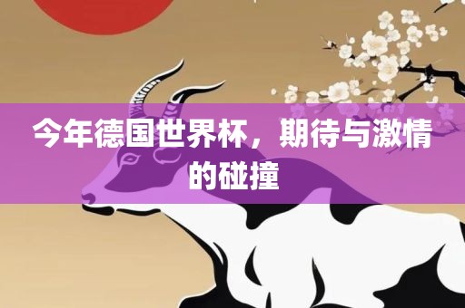 今年德国世界杯，期待与激情的碰撞常熟市高丰毛纺织品有限公司