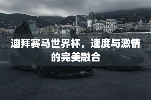 迪拜赛马世界杯，速度与激情的完美融合