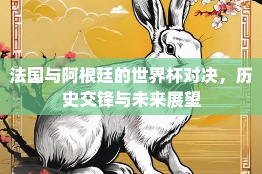 法国与阿根廷的世界杯对决，历史交锋与未来展望常熟市高丰毛纺织品有限公司